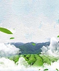 Bí Mật Đồi Trà