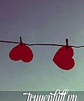 Dạy Tôi Yêu Em
