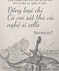 Đồng Loại Chi Cá Voi Sát Thủ Và Nghệ Sĩ Cello Đồng Loại Chi Cá Voi Sát Thủ Và Nghệ Sĩ Cello