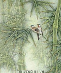 Dữ Nhữ Cuồng Ca