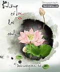 Không Có Lai Sinh