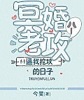 Những Ngày Lão Công Minh Hôn Bắt Tôi Đào Mộ