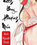 Rồng Bay Phượng Múa
