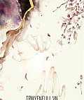 Thú Thế Chi Tế Thế An Dân