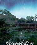 Tiếng Nước Tí Tách