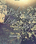 Tình Không Dao Động