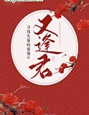 Gặp Lại Quân Tìm Kiếm Tình Yêu