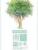 Phương Nam Có Cây Cao
