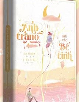 Ánh Trăng Rơi Vào Bể Tình