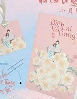 Biệt Lai Vô Dạng