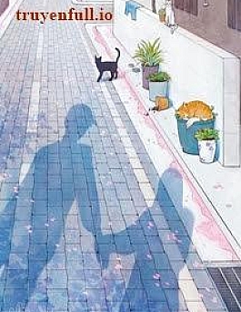 Bức Thư Tình Mùa Hạ Bức Thư Tình Mùa Hạ