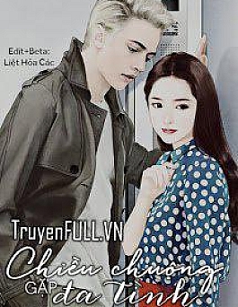 Chiều Chuộng Gặp Đa Tình