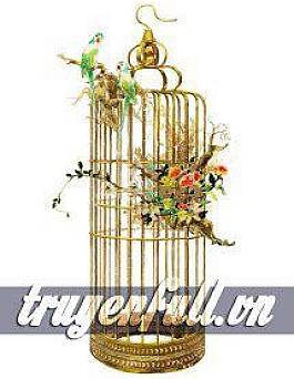 Chim Tước Cùng Lồng Vàng