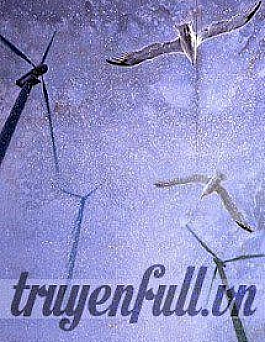 Chín Cây Số Tình Nhân