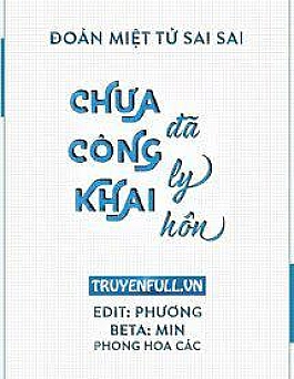 Chưa Công Khai Đã Ly Hôn