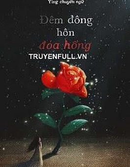 Đêm Đông Hôn Đóa Hồng