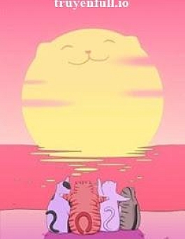 Đội Mèo Hoang Mở Họp - Ngũ Văn Đề Điểu
