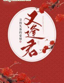 Gặp Lại Quân Tìm Kiếm Tình Yêu Gặp Lại Quân Tìm Kiếm Tình Yêu