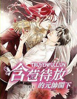 Hàm Bao Đãi Phóng Đích Nguyên Soái Các Hạ Hàm Bao Đãi Phóng Đích Nguyên Soái Các Hạ