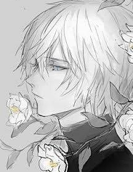 Hành Trình Của Nhân Vật Phụ Hành Trình Của Nhân Vật Phụ