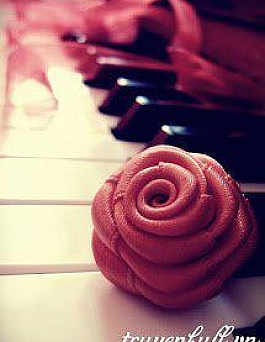 Kỳ Hôn - Cuộc Hôn Nhân Kỳ Lạ