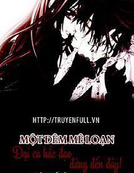 Một Đêm Mê Loạn: Đại Ca Xã Hội Đen Đừng Tới Đây