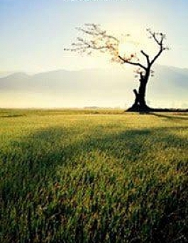Nhất Lộ - Trầm Giang Nhất