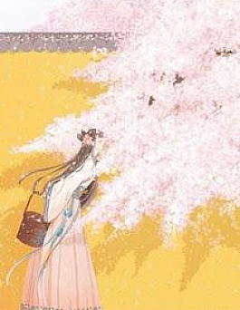 Phiến Phiến Hoa Phi Phiến Phiến Hoa Phi