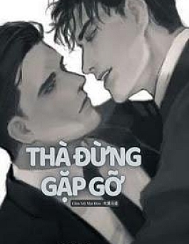 Thà Đừng Gặp Gỡ Đam Mỹ