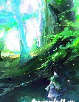 The Lost Song Of Light Forest