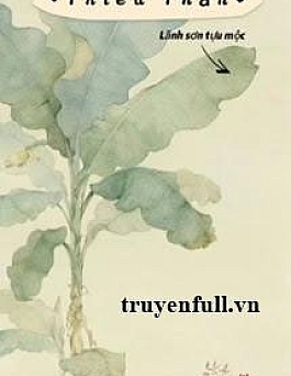 Thiêu Thân