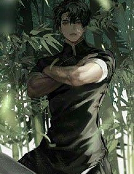 Truyền Nhân Thiên Y